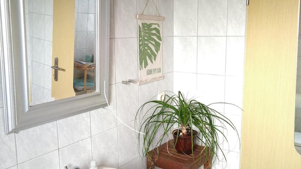 Ferienwohnung Steinwald Auslaeufer Mit Blick Auf Koesseine Waldershof Exteriör bild